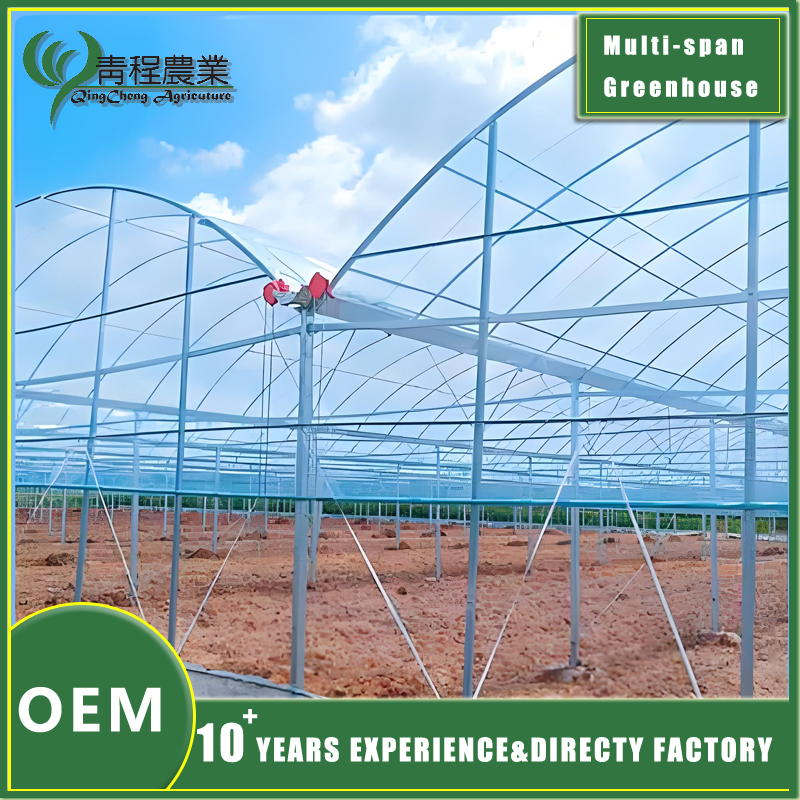 basic durable multi span greenhouse