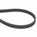 Cummins Diesel Engine V Ribbed Belt 3289930