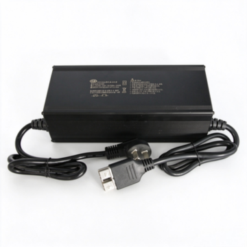 Wholesale electric tricycle battery charger25A