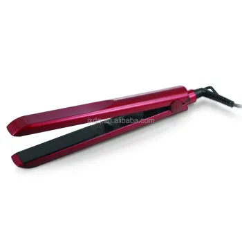 2021 Professional Low Price Creative 2 In 1 Hair Straightener for Dry Hair
