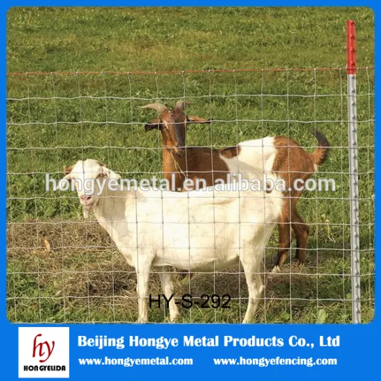 Supplies Hot Dipped Galvanized Cattle/ Farm Fencing Mesh