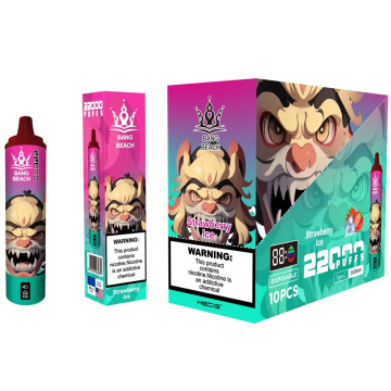 Bang Beach 22000 Puffs Disposable Vape Wholesale France
