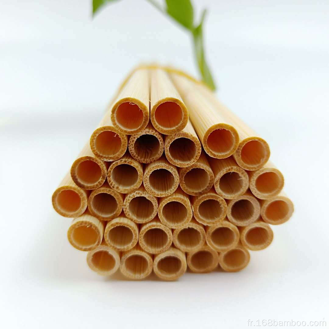 Paille de boisson en bambou biodégradable recyclable avec logo laser