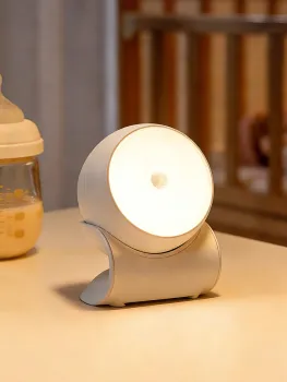 Motion Sensor Light