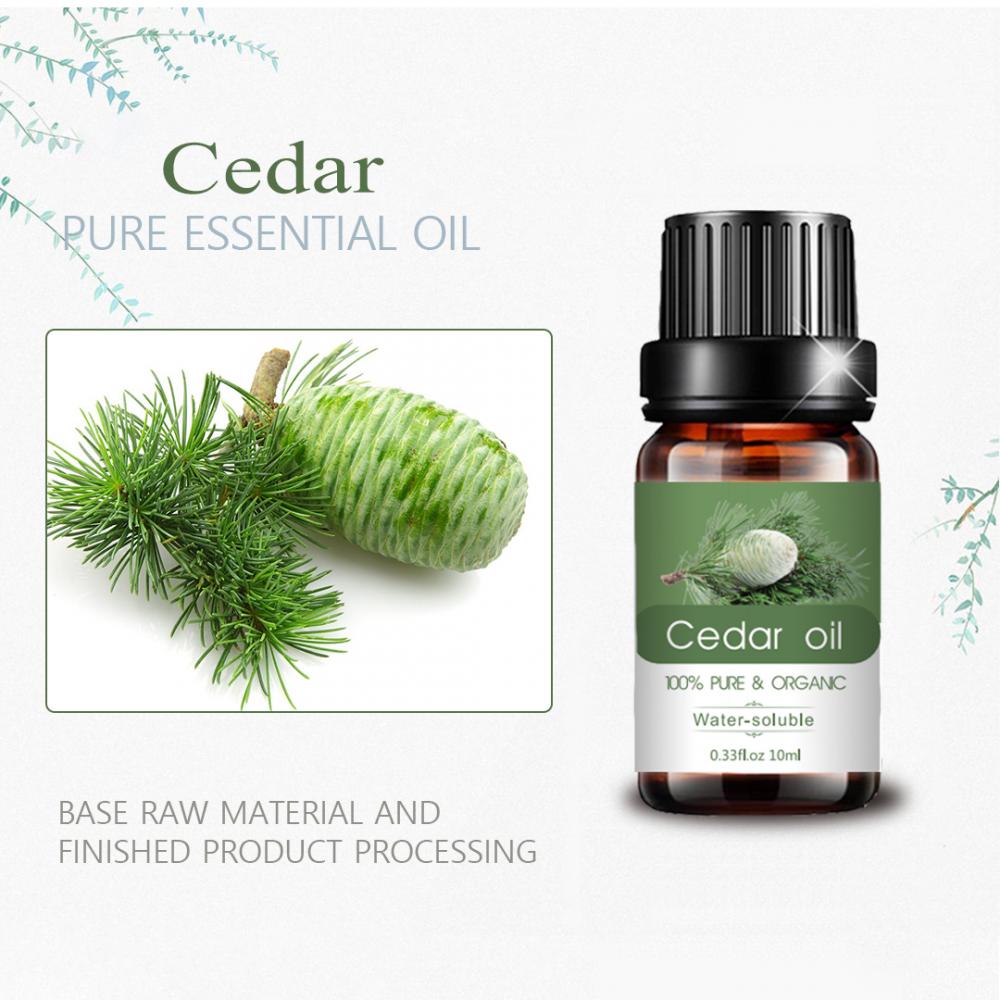 Aromatherapy Cedar Wood Price Distillation Essential Oil