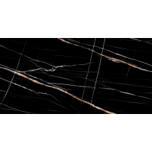 حجر الذهب الأسود متكلس