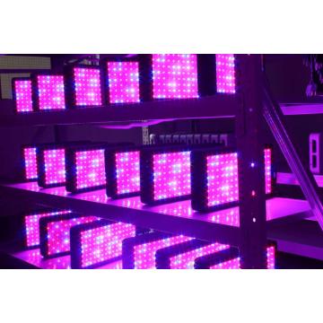 Atacado LED Grow Lights para Geenhouse