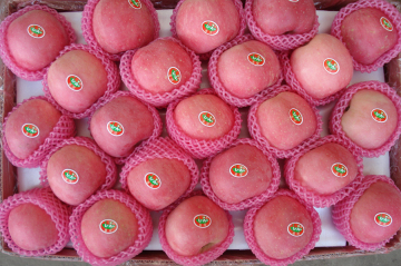 Sweet red Fuji apple