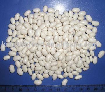 Japanese white beans