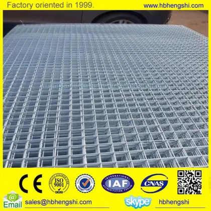 Brand new welded wire mesh made in China
