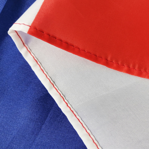 High Quality Polyester France Hand Flag