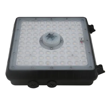 POWER&CCT TUABLE LED GARAGE LIGHT&CANOPY LIGHT