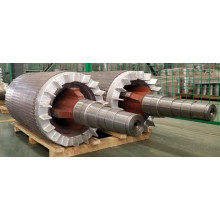 Rotor with Shaft Inserting