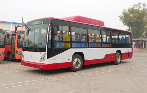 City Bus Sc6831