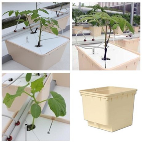 Hydroponics-Duch-buckets