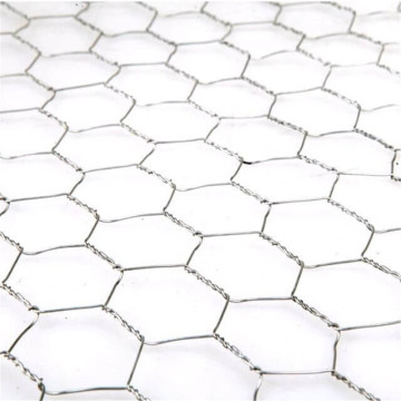 poultry wire Galvanized Hexagonal wire mesh