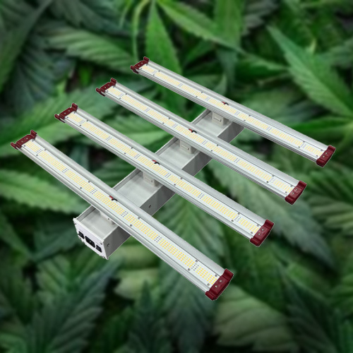 600W Led Veg Grow Light 4 Head 2022