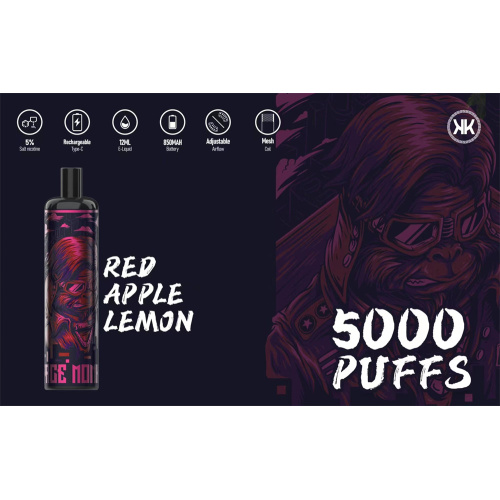 Disposable energy vape 5000puffs