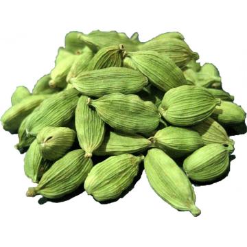 Pure natural cardamom essential oil