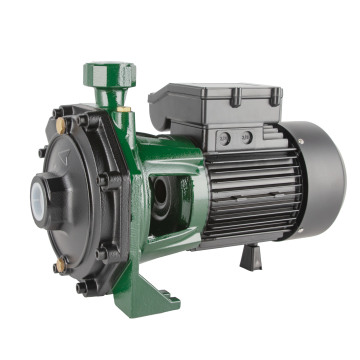 CE Certified 3HP Cast Iron Garden Pump with Brass Impeller