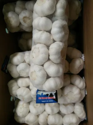 Fresh Grade A Garlic