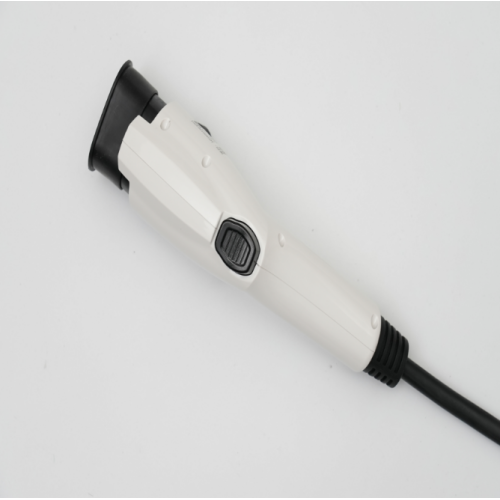 NEW National Standard Charge Gun Q1 220v 32a