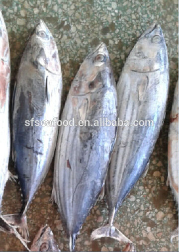 skipjack tuna dried anchovy