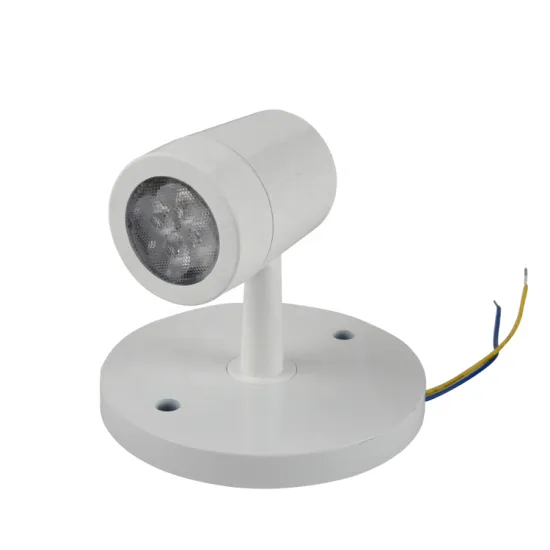 FEITUO Professional High-Grade Emergency LED Bulb with Remote Control