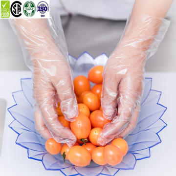 Cheap disposable glove for food industry