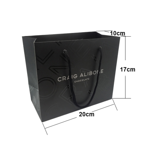 New design luxury fashion paper shopping bags