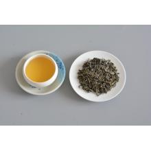 Green tea factory premium organic tea OP 9101