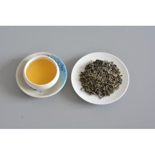 Green tea factory premium organic tea OP 9101