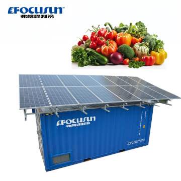 Focusun Customizable Solar-Powered Container Cold Room for Vegetables and Meat