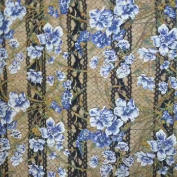 Tissu de robe de femmes de dentelle de polyester floral brodé 3D