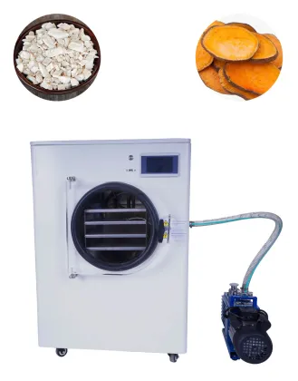 Vegetable Freeze Dryer with Vacuum Cavitation System