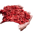 Doğal Organik Kurutulmuş Goji Berry