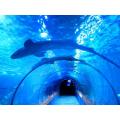 Gran túnel de acuario acrílico transparente personalizado
