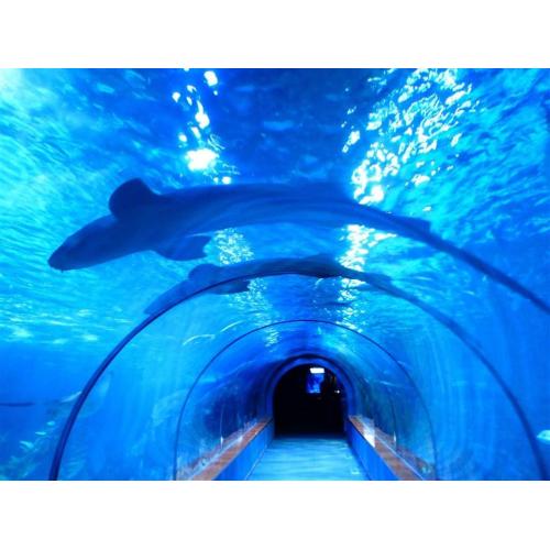 Large customized transparent acrylic aquarium tunnel