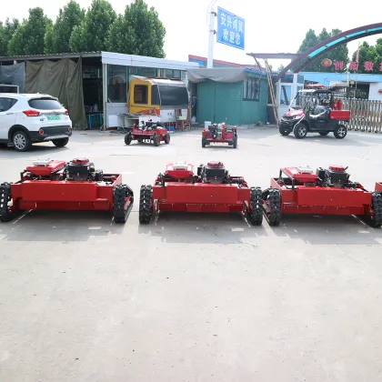 CE ISO Certified Factory Direct Riding Mower Lawn Mower