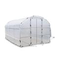 Enkelt montera Mini Garden Greenhouse