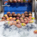 Linha de classificação integrada do tamanho da secagem do ar de lavagem da bolha do fruto