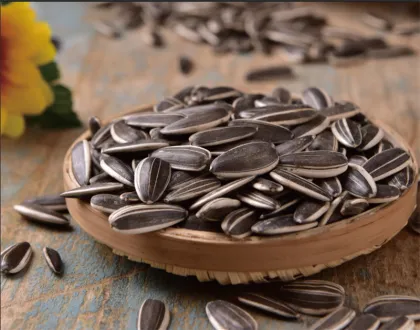 New Production Of Sunflower Seeds 361 For Export