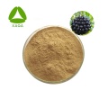 Sibirischer Ginseng -Extrakt Eleutherosid sein Pulver