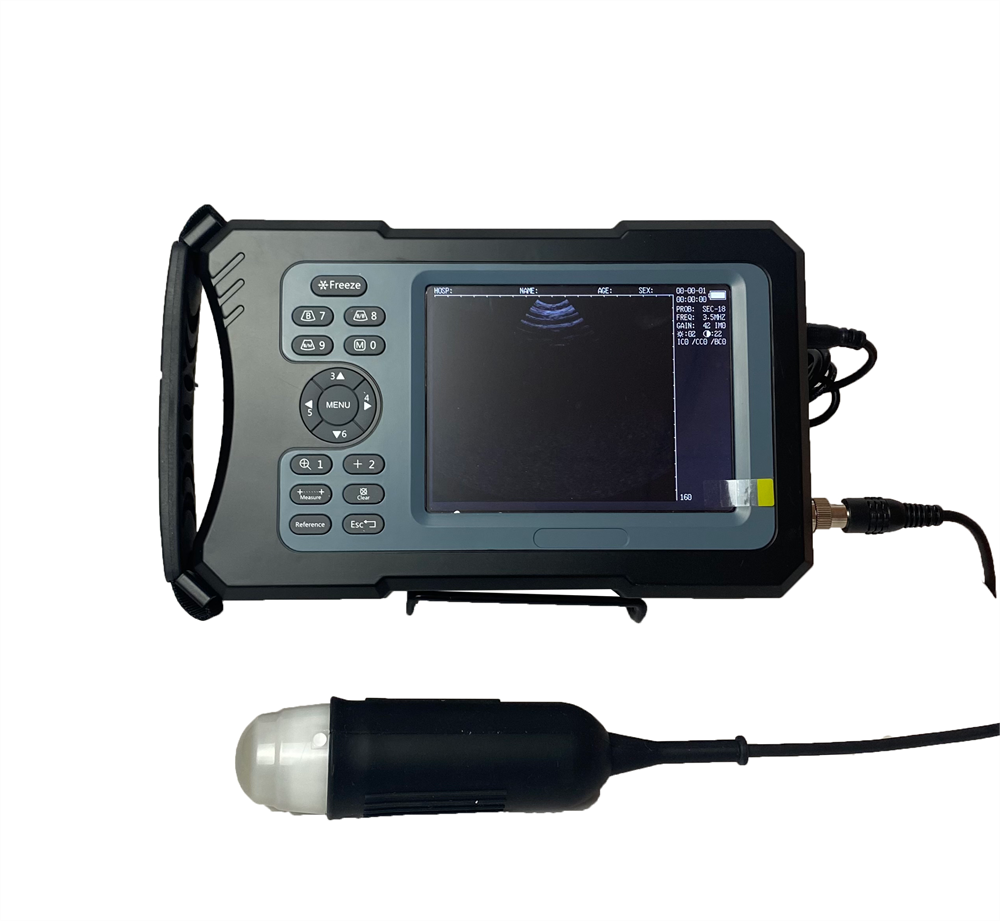 Günstiger Handheld -Veterinär -Ultraschall -Scanner für Schwein