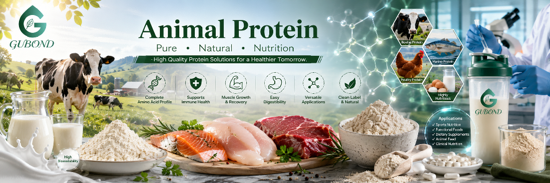 Animal protein