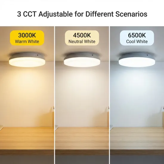 Multi-functional 5W Emergency LED Downlight IP65