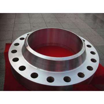 Stainless Steel Forged Flanges