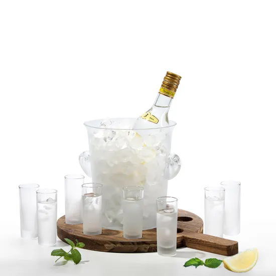 Tray Set of 8 Shot Glasses Ice Bucket