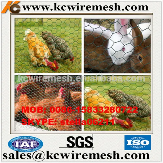 Factory!!!!!!! Cheap!!!!! KangChen high quality plastic coated hexagonal chicken mesh