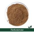 Bulk turkesterone powder cncsbio